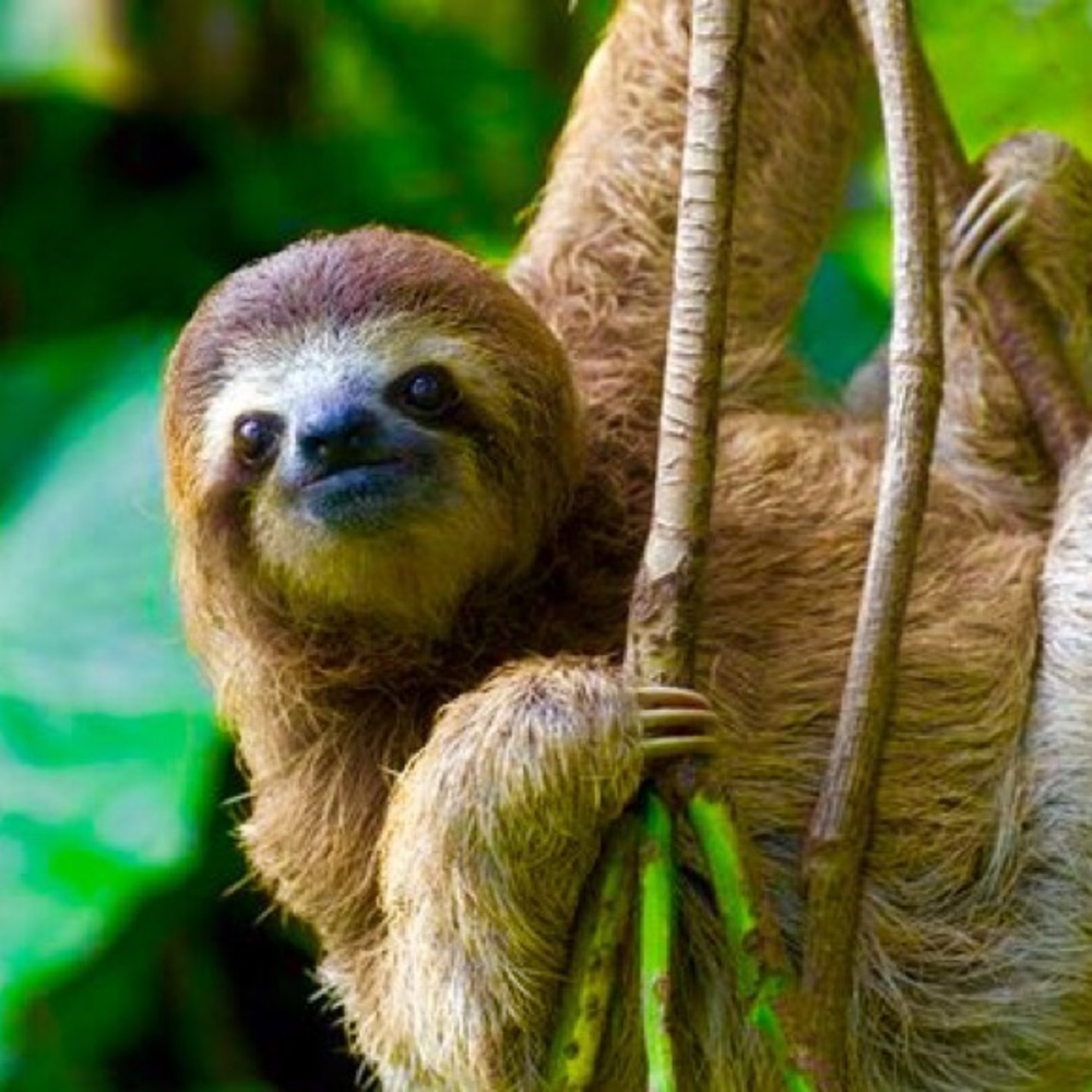 Meet your Posher, Tash